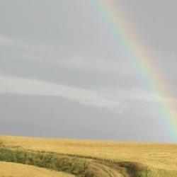 Paisaje