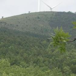 Paisaje